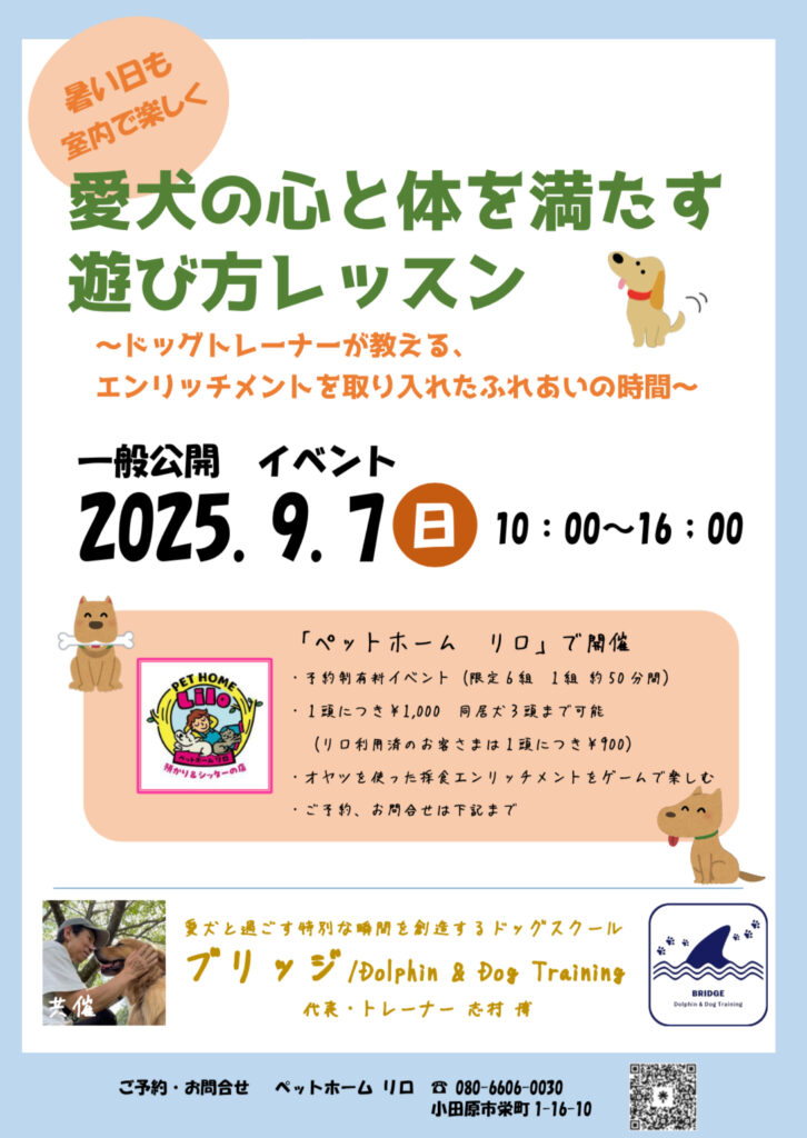 「遊び方レッスン」イベントチラシ